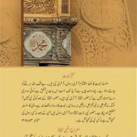 Khutbat E Seerat Un Nabi (SAW) By Allama Peer Muhammad Saqib Mustafia خطباتِ سیرت النبیﷺ از مولانا رضا ثاقب مصطفائی