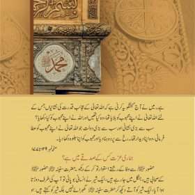 Khutbat E Seerat Un Nabi (SAW) By Allama Peer Muhammad Saqib Mustafia خطباتِ سیرت النبیﷺ از مولانا رضا ثاقب مصطفائی