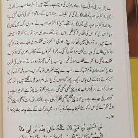 Waqiyat E Seerat Un Nabi (SAW) By Allama Khadim Hussain Rizvi واقعاتِ سیرت النبیﷺ از خادم حسین رضویؒ