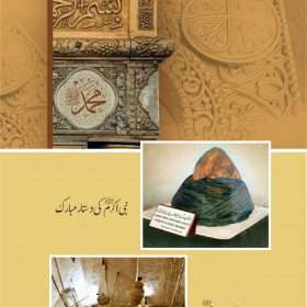 Khutbat E Seerat Un Nabi (SAW) By Allama Peer Muhammad Saqib Mustafia خطباتِ سیرت النبیﷺ از مولانا رضا ثاقب مصطفائی