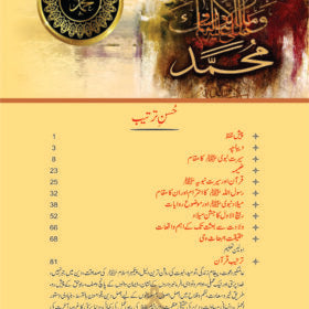 Seerat Un Nabi (SAW) by molana abu alkalam aza