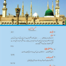 Seerat Un Nabi (SAW) by molana mufti adrees kandhlvi