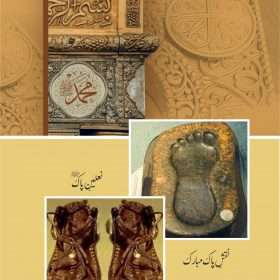 Khutbat E Seerat Un Nabi (SAW) By Allama Peer Muhammad Saqib Mustafia خطباتِ سیرت النبیﷺ از مولانا رضا ثاقب مصطفائی