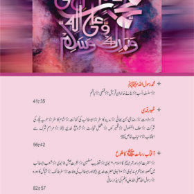 Seerat Un Nabi (SAW) by Shibli Numani