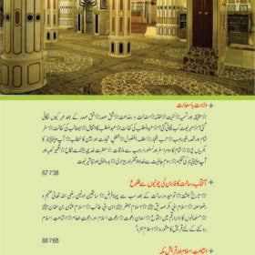 Seerat Un Nabi (SAW) by molana mufti adrees kandhlvi