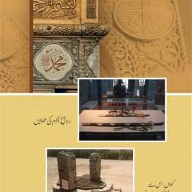 Khutbat E Seerat Un Nabi (SAW) By Allama Peer Muhammad Saqib Mustafia خطباتِ سیرت النبیﷺ از مولانا رضا ثاقب مصطفائی