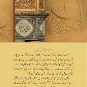 Khutbat E Seerat Un Nabi (SAW) By Allama Peer Muhammad Saqib Mustafia خطباتِ سیرت النبیﷺ از مولانا رضا ثاقب مصطفائی